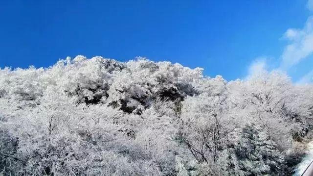 未知的岛屿