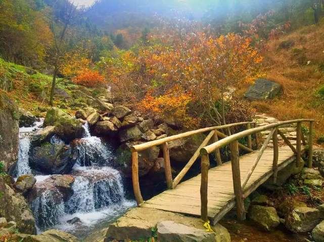 小小忍者疾风传